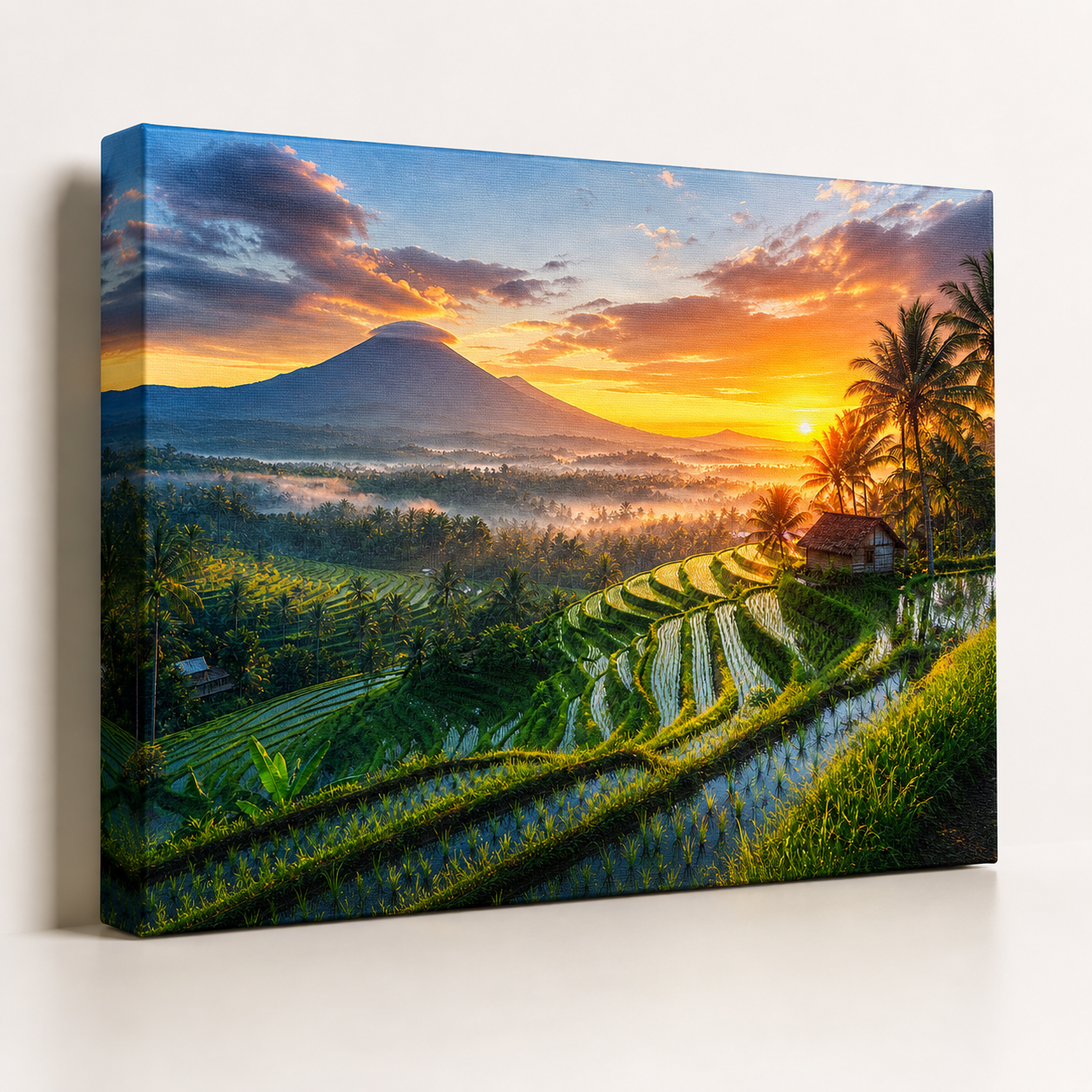 Fields of First Light