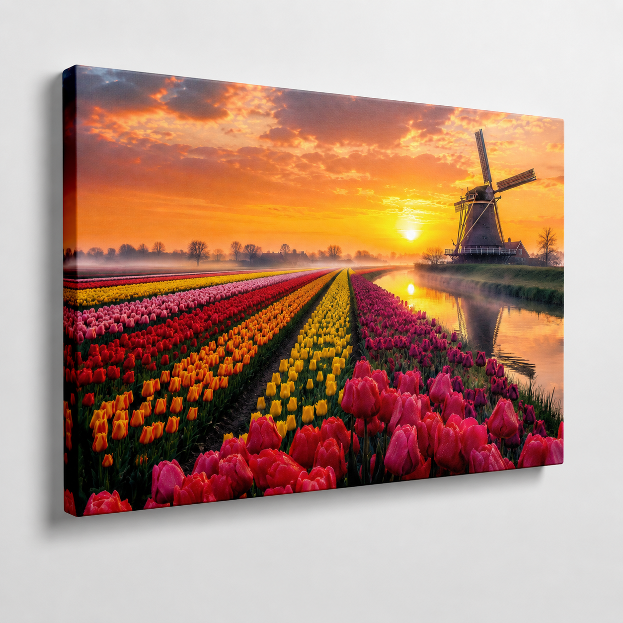 Fields of Fire and Bloom
