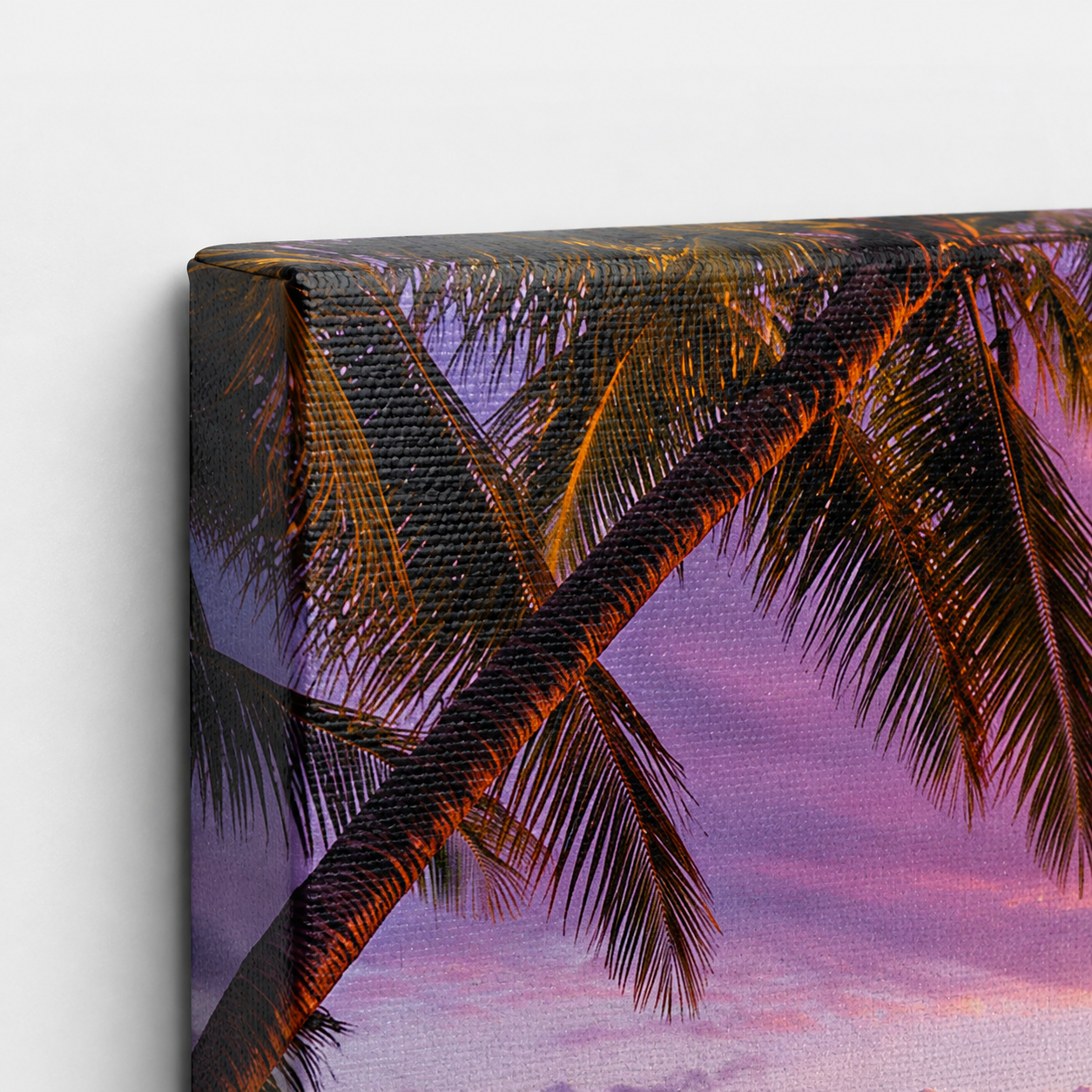 Paradise Afterglow