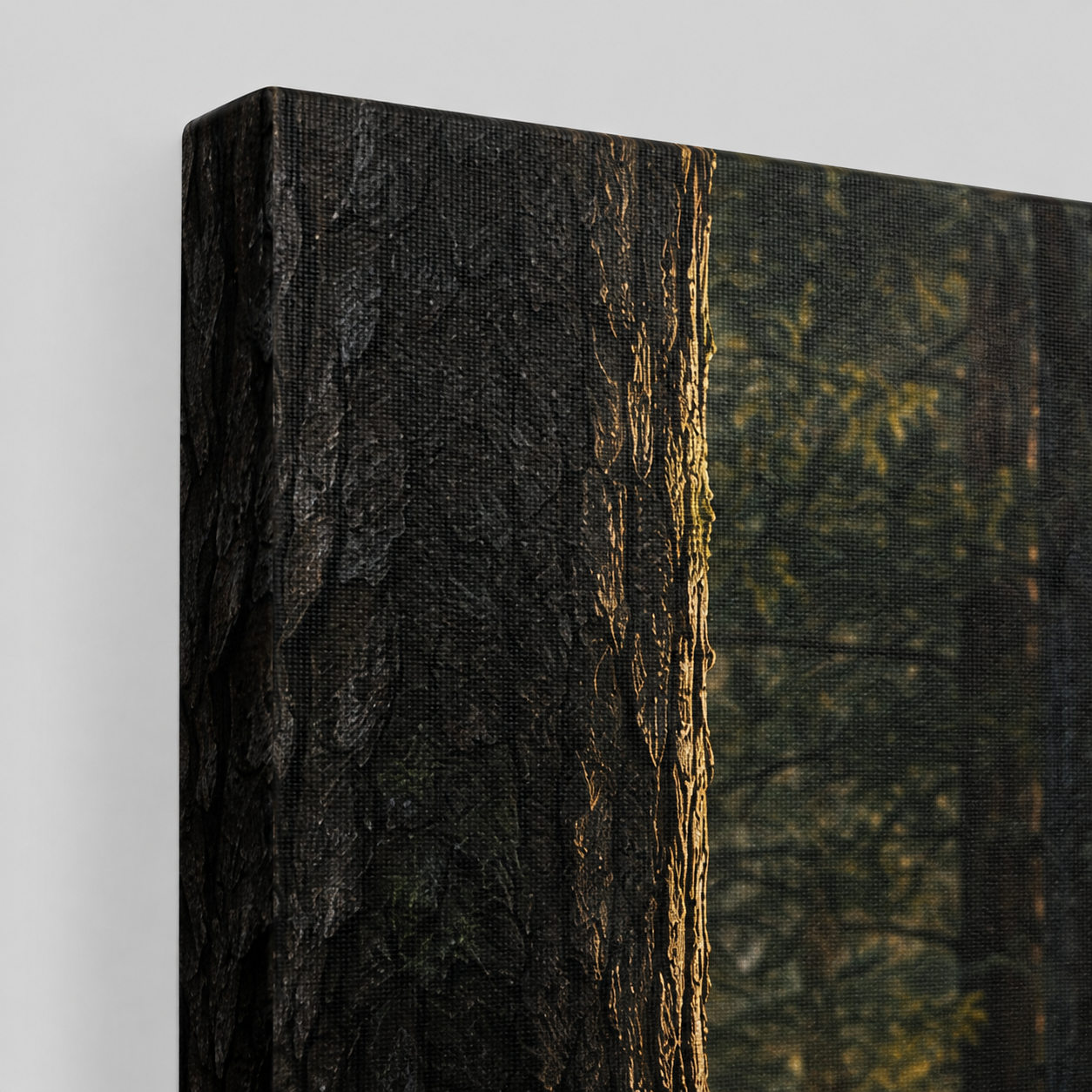 King of the Pines