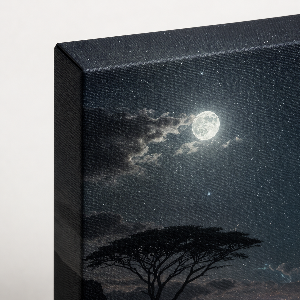 Crowned by Moonlight