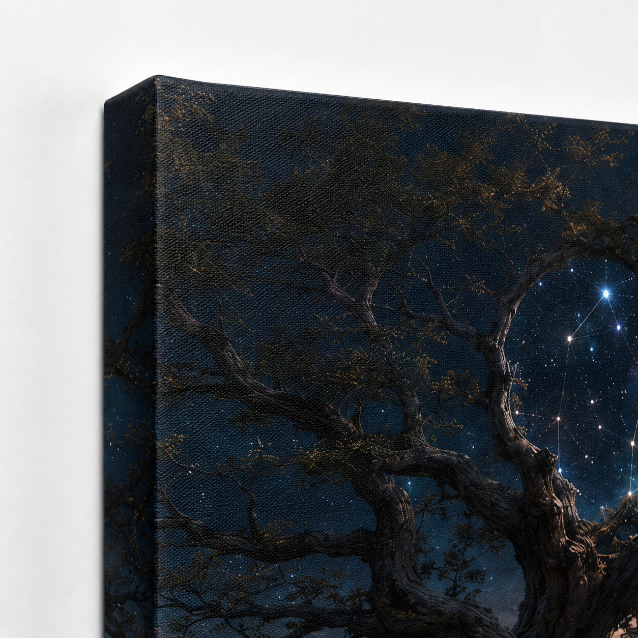Where Stars Take Root