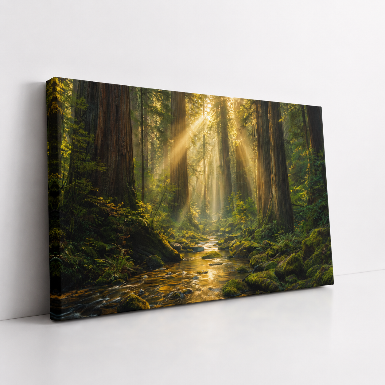 Cathedral of Light