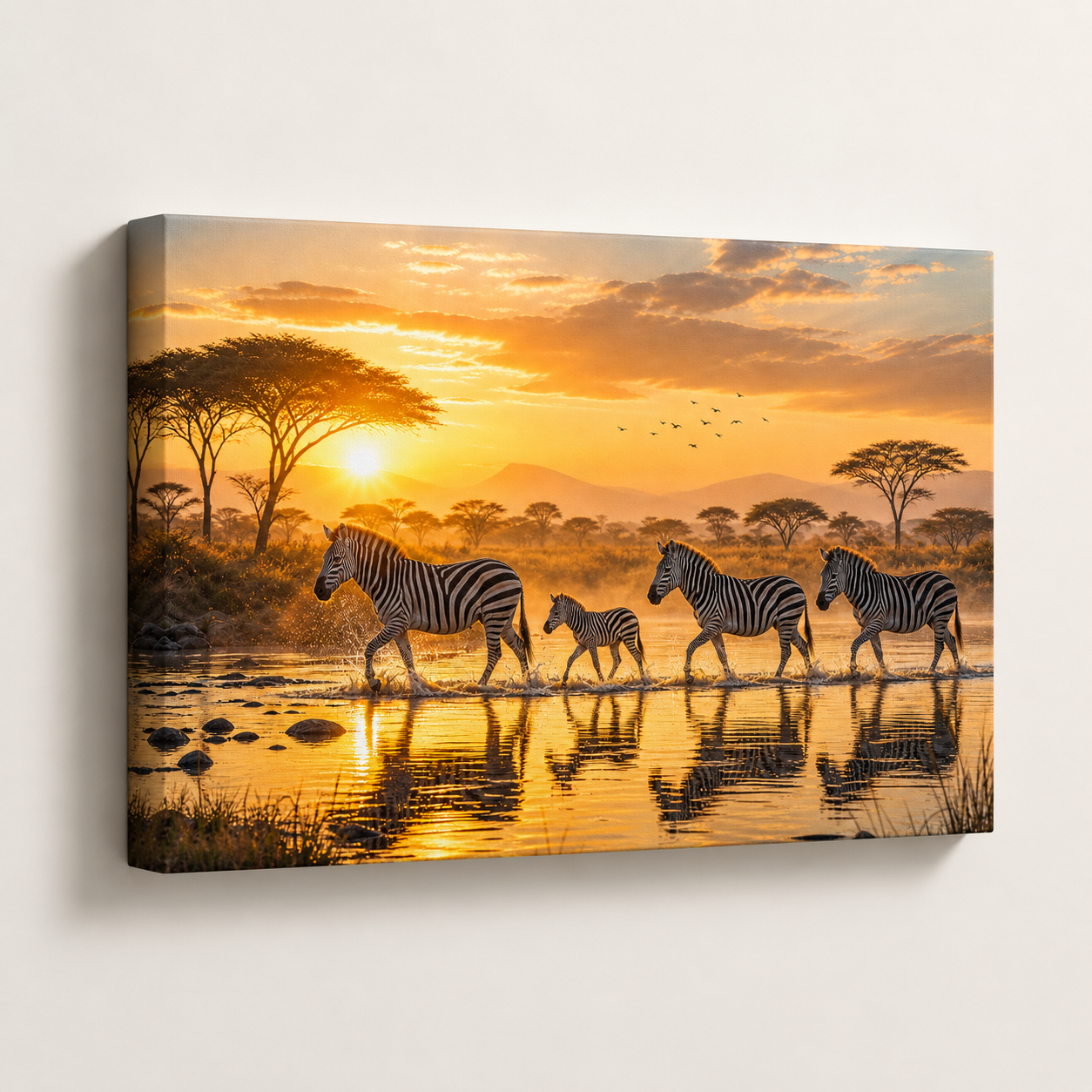 Zebras at Dawn