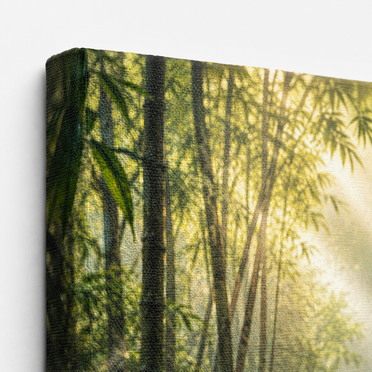 Bamboo Sanctuary