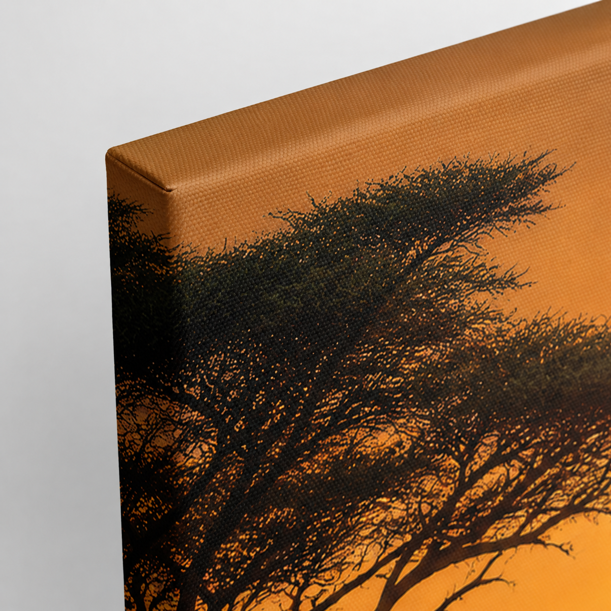 Savanna Sunset
