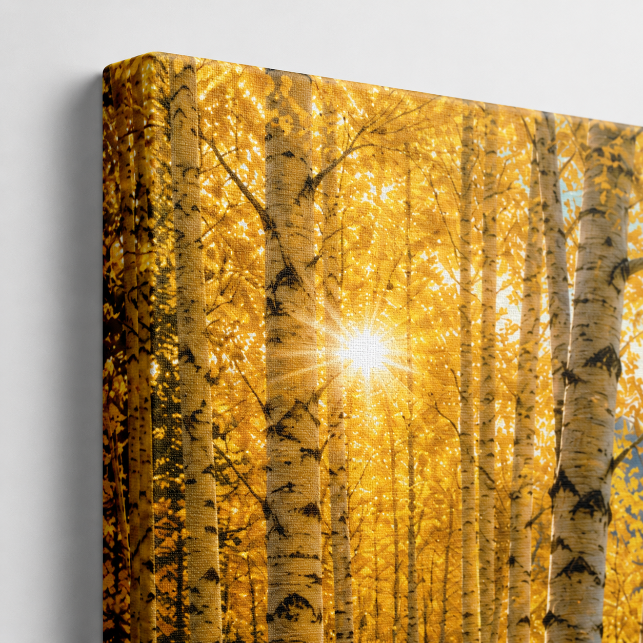 Golden Aspen Lake