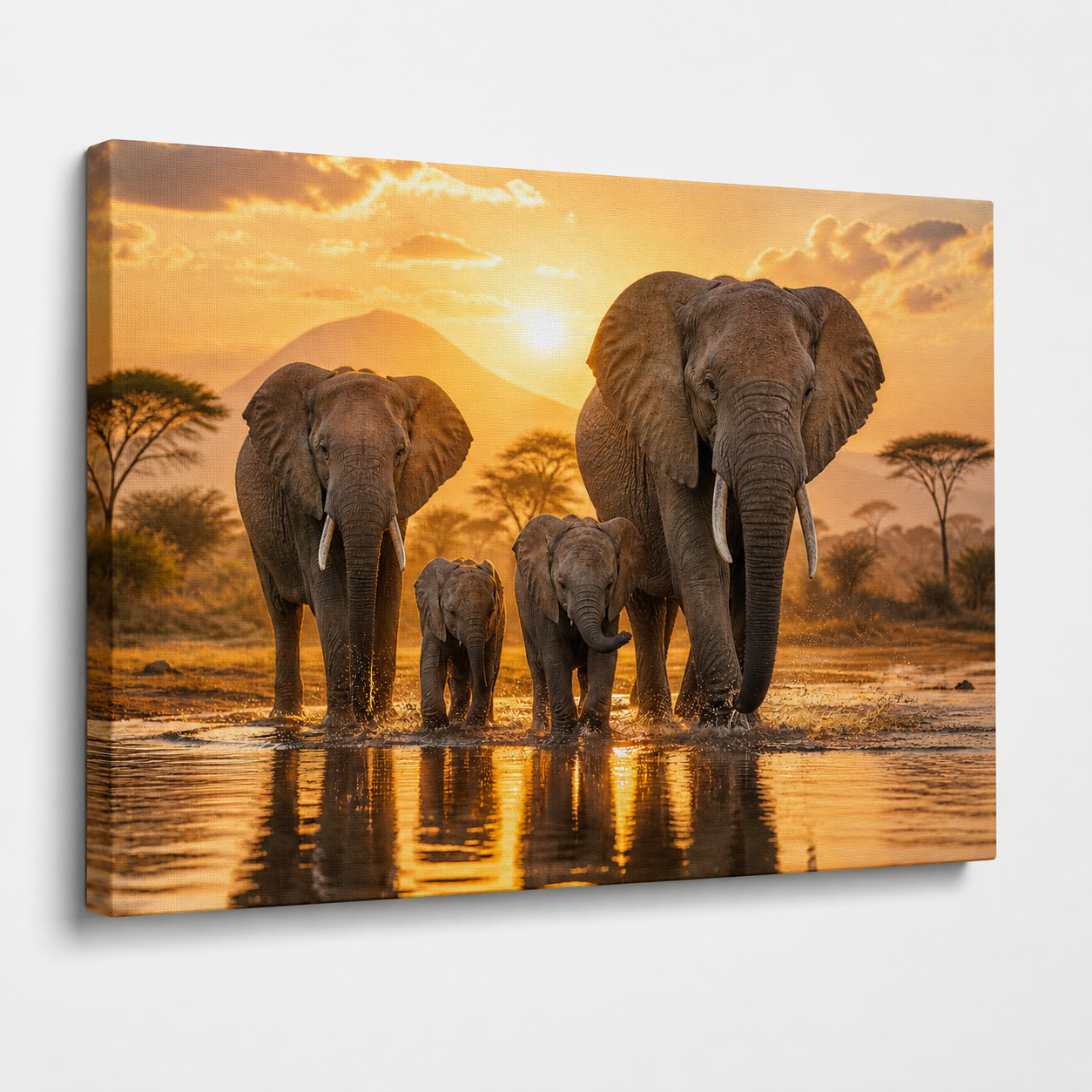 Golden Safari