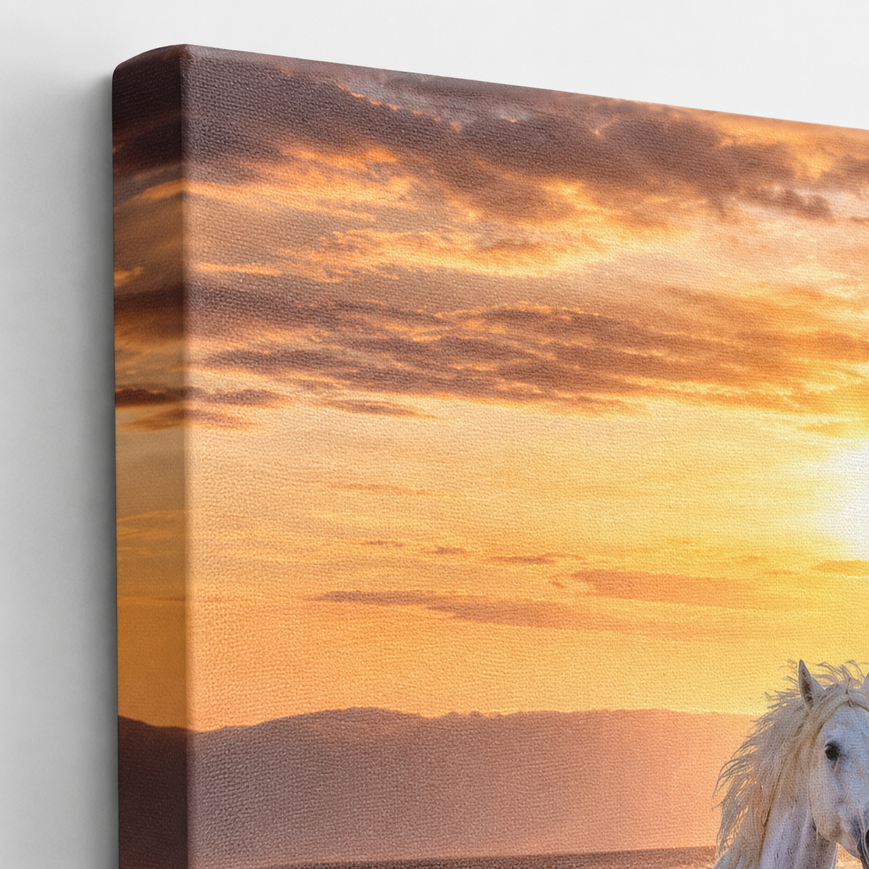 Sunset Gallop