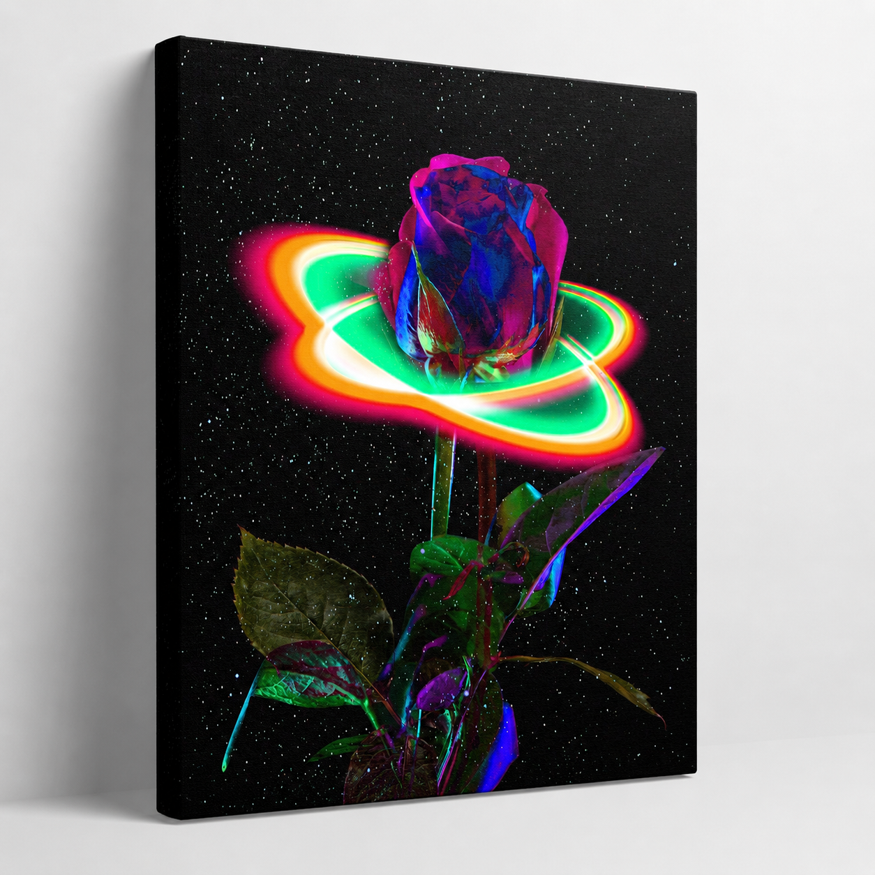 Starlit Rose